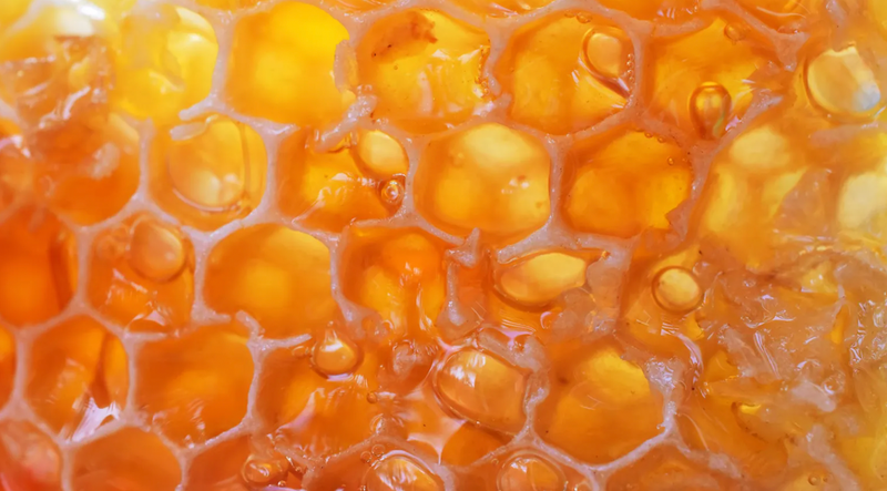 manuka honey